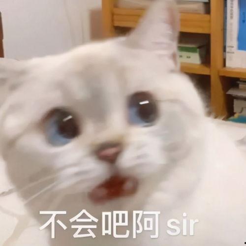 吃瓜vx怎么进,如何轻松通过吃瓜vx进入神秘世界