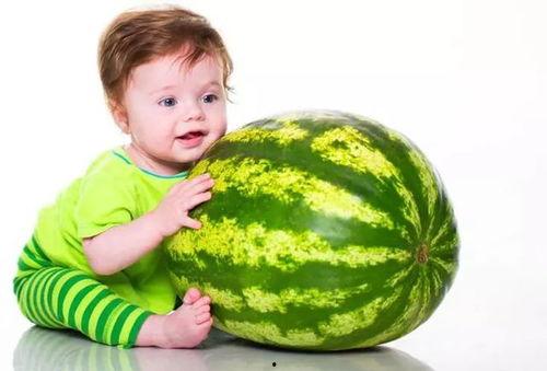 宝宝去西瓜地吃瓜,一场甜蜜的夏日食趣之旅