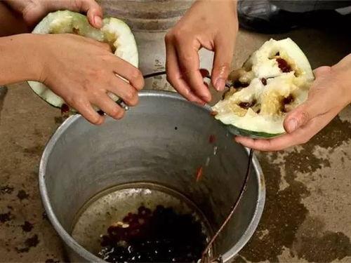 海外吃瓜大揭秘,那些不为人知的幕后故事