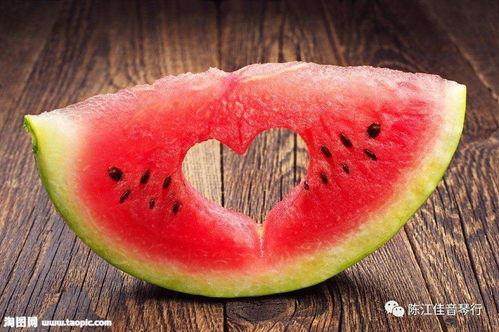 羊会不会吃瓜,揭秘羊群对瓜果的独特喜好