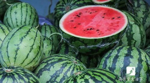 吃瓜多了吃不掉怎么办,吃瓜过多困扰多？巧妙应对瓜果过剩攻略