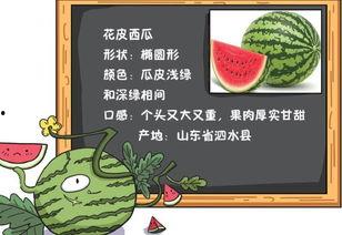 吃瓜历史故事,古代吃瓜群众的智慧与趣闻