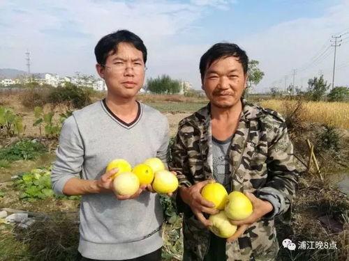 吃瓜群众漳州,吃瓜群众眼中的魅力之城