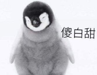 理性吃瓜珍惜眼睛,健康生活新风尚