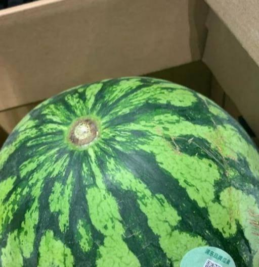 吃瓜群众的瓜摊真假,真假瓜果大揭秘