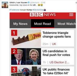 美国吃瓜指南大选,吃瓜指南全解析