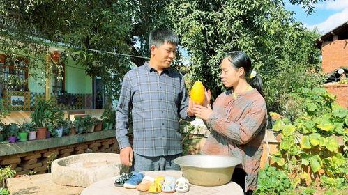 梦到树上摘瓜吃瓜