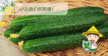 晓佳吃瓜,揭秘娱乐圈那些不为人知的幕后故事