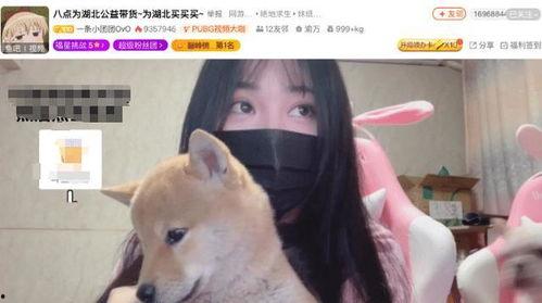 团团吃瓜直播,揭秘娱乐圈幕后故事