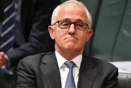 吃瓜群众很认真,揭秘娱乐圈背后的真实故事